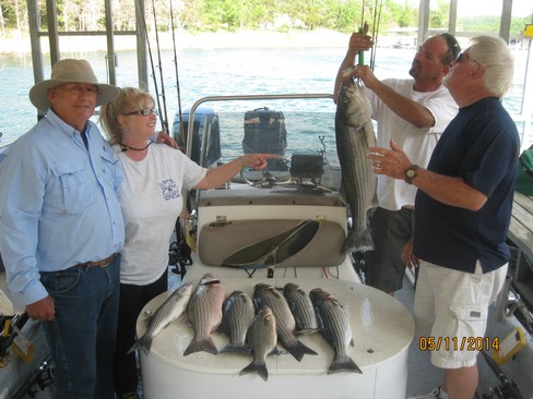 Nice Striped Bass